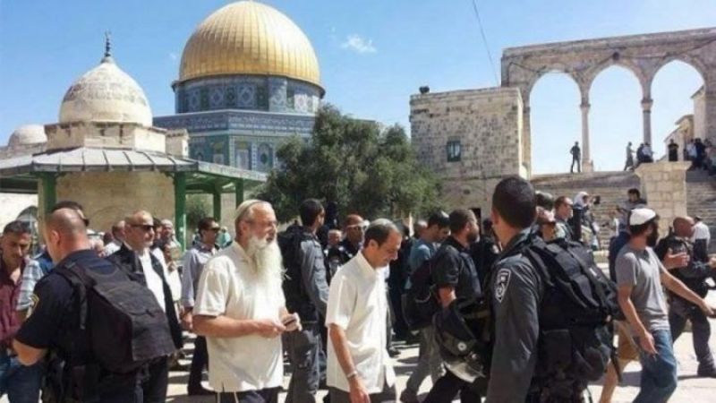 الأوقاف الفلسطينية: أكثر من 29 ألف صهيوني اقتحموا الأقصى منذ بداية العام