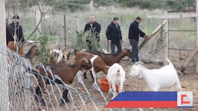 مقاومة الإرهاب الاقتصادي.. على الحدود ـ بالفيديو