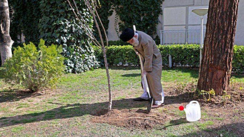 في "يوم الشجرة"..الإمام الخامنئي يغرس شتلة 