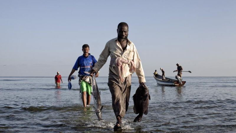 هل تتحول سقطرى اليمنية لقاعدة إماراتية عسكرية تضم صهاينة؟