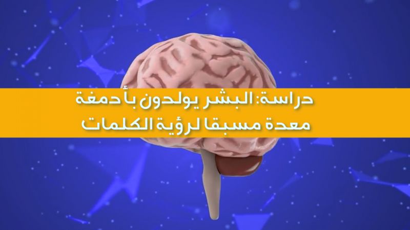 دراسة: البشر يولدون بأدمغة معدة مسبقًا لرؤية الكلمات