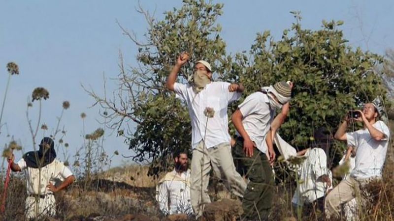 الخارجية الفلسطينية: إرهاب الاحتلال المنظم يتواصل أمام العالم