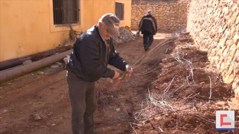 من جهاد البناء للبقاع الغربي دعم زراعي