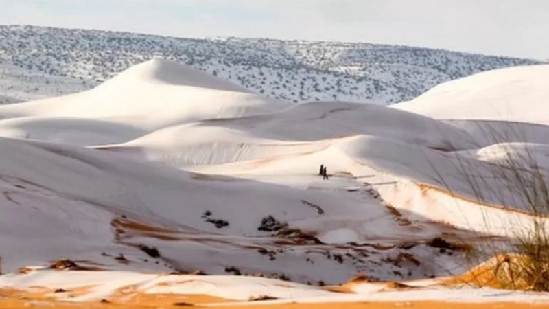 صحراء الجزائر بيضاء